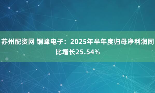 苏州配资网 铜峰电子：2025年半年度归母净利润同比增长25.54%